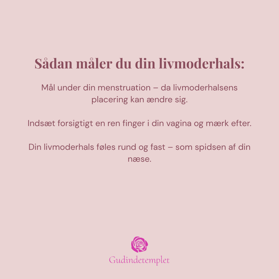 Menstruationsskive